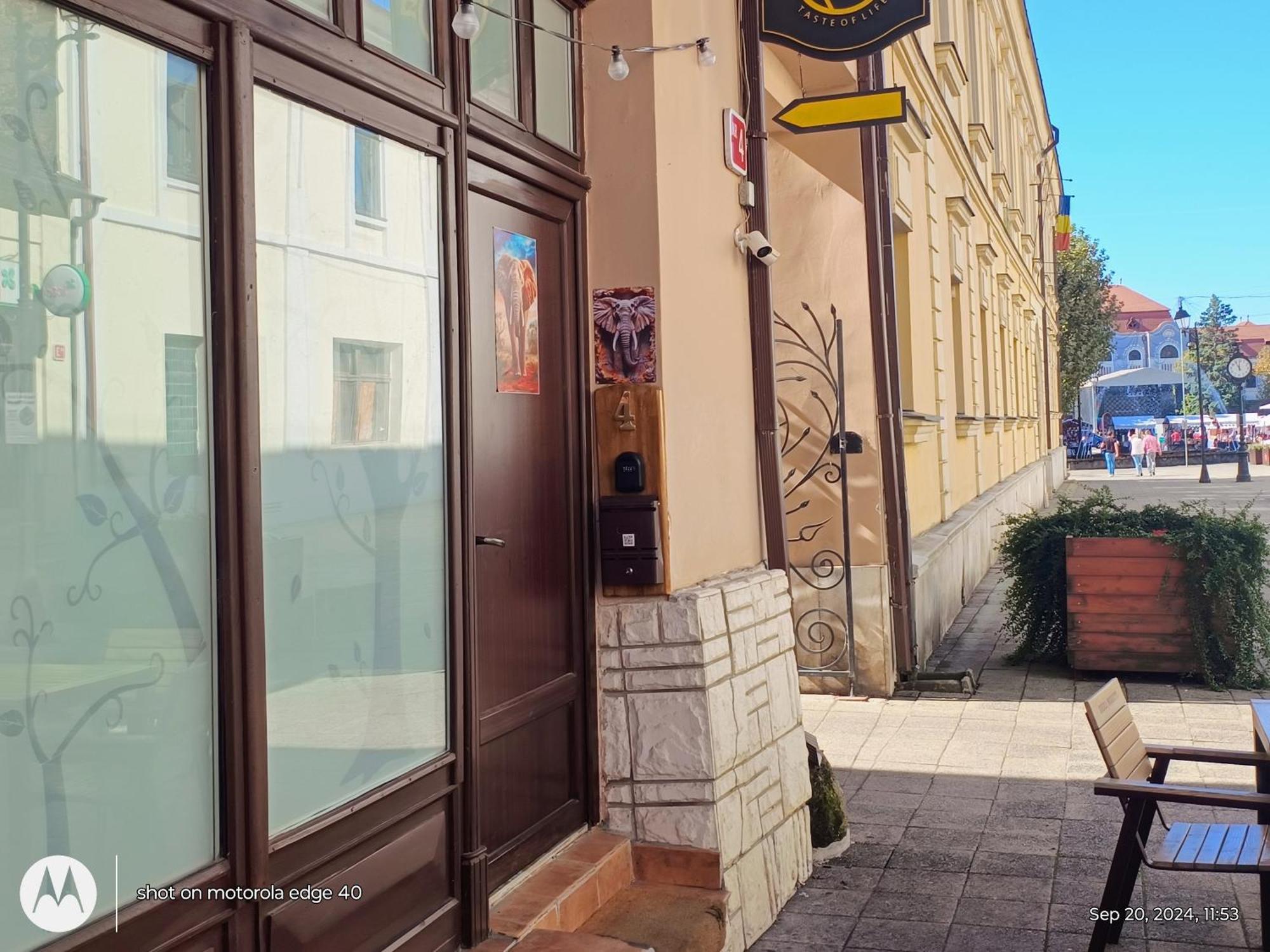 Appartement Elefant à Baia Mare Extérieur photo